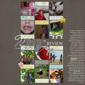 2010 in review