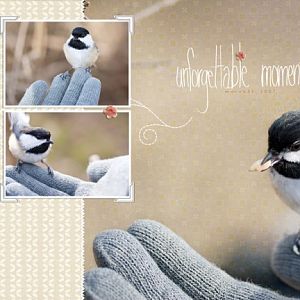 Chickadee Moment