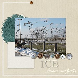 Ice, Snow and Gulls (left)