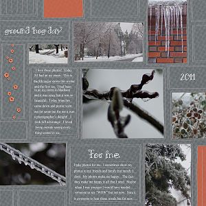 2011Feb02 ice storm