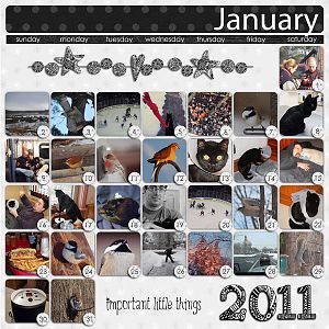 2011Jan MOPs (month of photos)