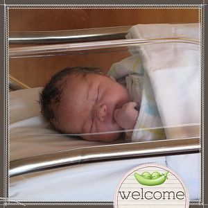 Baby's First Year - Welcome Baby
