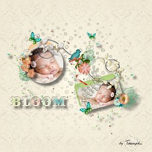 Bloom Baby Bloom