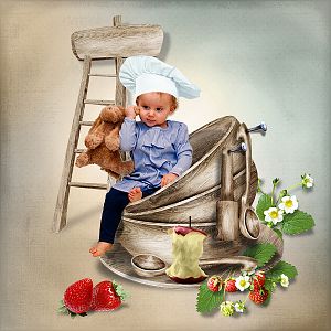 Kitchen Fairies