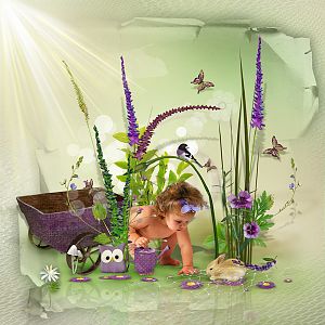 Purple garden by NathDesigns