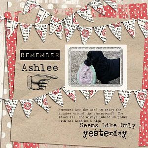 Remember Ashlee