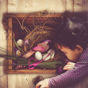 You dropped an egg