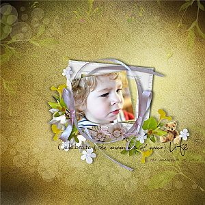 The moments of your life by Lilibule scrap design