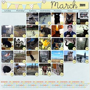 2011Mar MOP (month of photos)