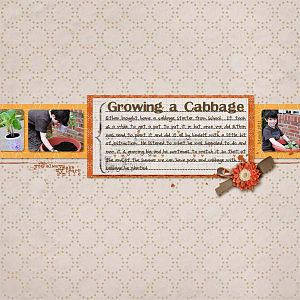 Growing a Cabbage