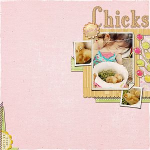 spring chicks
