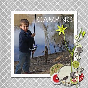 Camping Cover