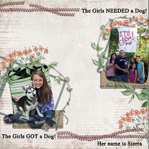 The Girls NEEDED a Dog!
