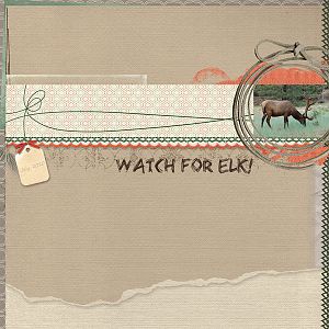 Watch For Elk