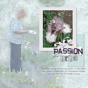 A Passion for Iris