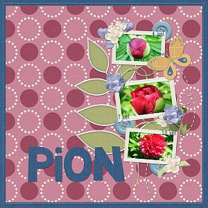 Pion