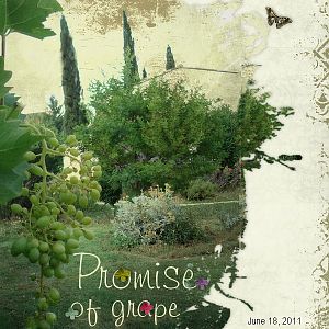 Promise of Grape