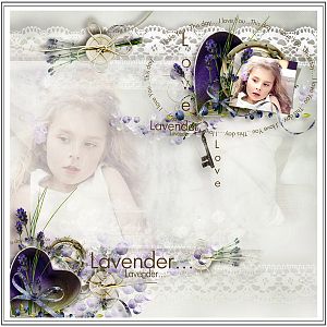Lavender dream