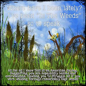 In The Weeds