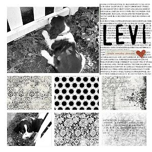 My New Puppy - Levi