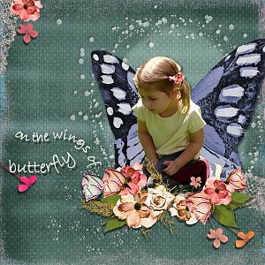 on the wings of butterfly