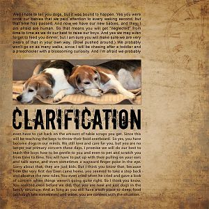 Clarification Dogs