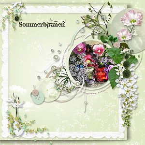 Sommerblumen