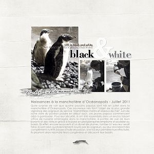 BLACK & WHITE PHOTOGRAPH CHALLENGE