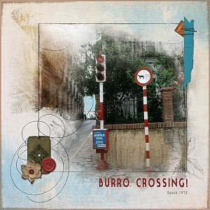 Burro Crossing