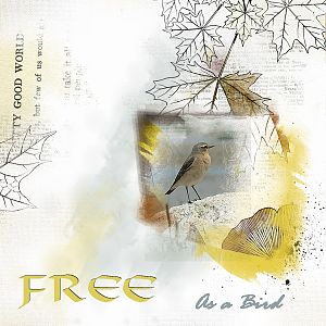 Anna Lift 1 - Free as a Bird