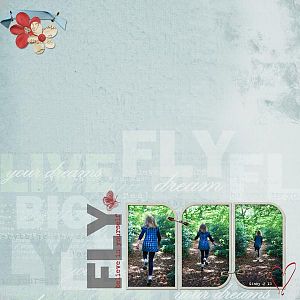 Fly