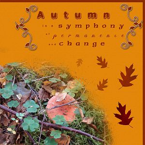 Harvest of memories- Autumn is ....