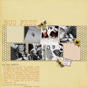 Bug Fest