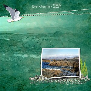 ever changing sea