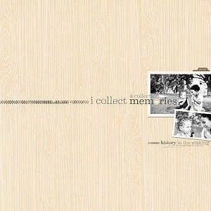 COLLECT-MEMORIES