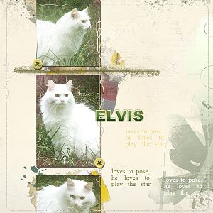 Elvis