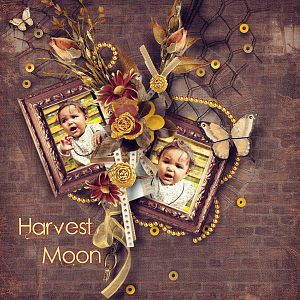 Harvest Moon - RAK for priss