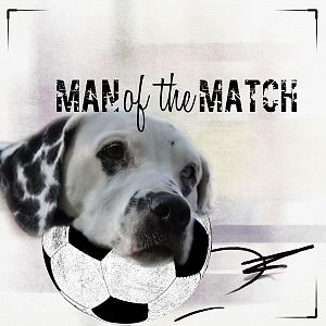 man (dog)of the match
