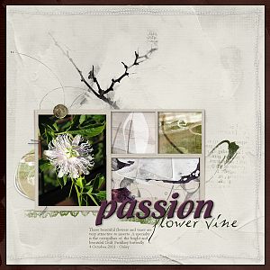 AnnaLift 10.21.11 - Passion Flower Vine