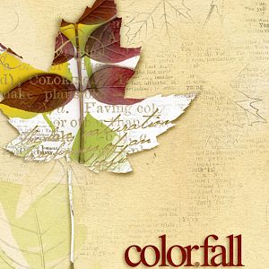 Color.fall