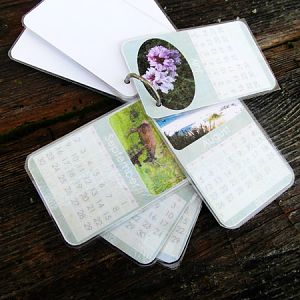 laminated calendar