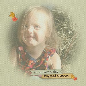 hayseed Shannon