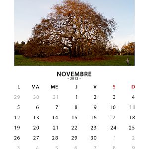 CD CASE Calendar November