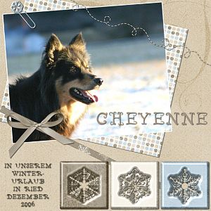 ~cheyenne - winter holidays~