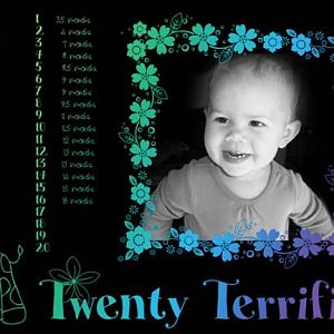 Twenty Terrific Teeth