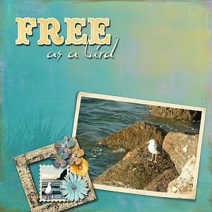 Free as a Bird