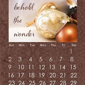 8x10 Calendar - December