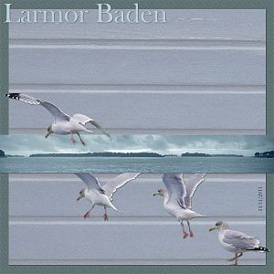 Larmor Baden