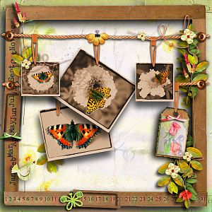 Butterfly -memory board