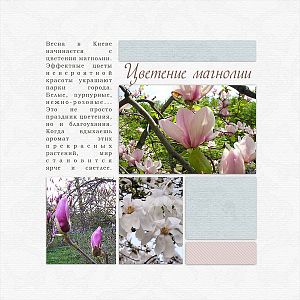 spring